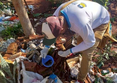 MS registra mais de 6 mil casos de dengue no primeiro semestre do ano