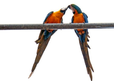 Tempo contribui para clima agradável com sol e friozinho no dia dos namorados.