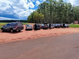 Sete carros com cigarros do Paraguai são apreendidos pelo DOF
