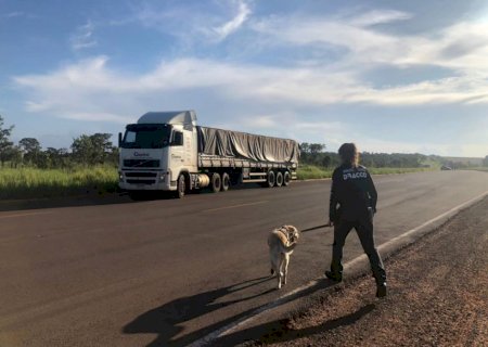 Polícia apreende meia tonelada de cocaína em engradados de cerveja