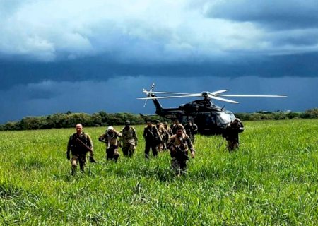 Em dez dias, Nova Aliança destrói 748 toneladas de maconha na fronteira