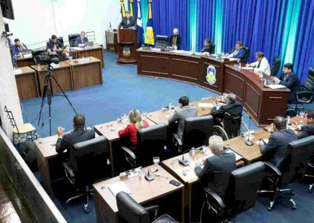 Câmara de Dourados aprova lei de adoção de animais e mais quatro projetos