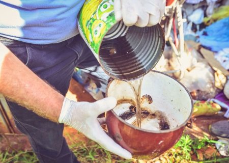 CCZ aplica mais R$ 81,7 mil em multas por flagrar focos de vetores de zoonoses