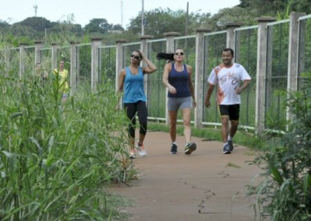 Município homologa resultado de licitação para limpeza pública