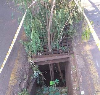 Moradores Usam Galhos de Arvores Para Sinalizar Buracos no Meio da Rua