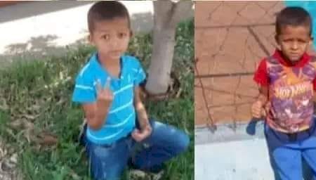 Criança de 7 anos teria morrido após picada de escorpião; 2º caso em 2 dias