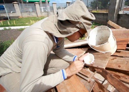Dourados tem 986 casos prováveis de Dengue; confirmados já são 567