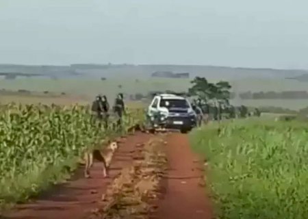 Por dívidas, União quer tomar fazenda 'do conflito'