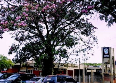 Pai resgata filhos deixados pela mãe sozinhos em casa