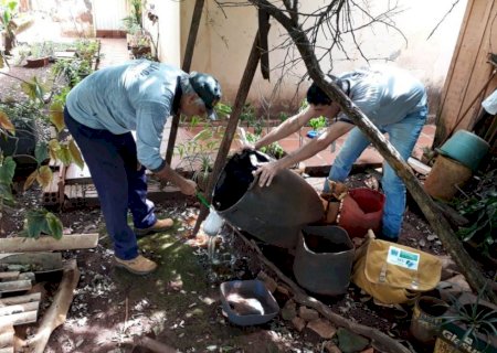 Dourados registra quase 900 casos confirmados de Dengue, aponta boletim