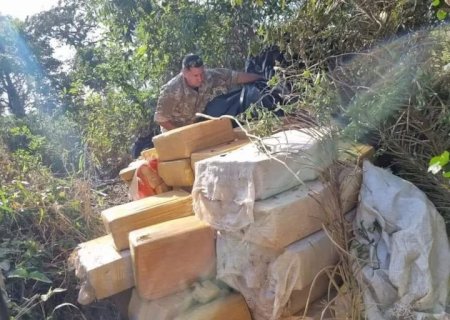 Senad apreende 18 toneladas de maconha em acampamentos do tráfico