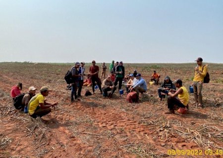 PF e MPT encontram 30 paraguaios sendo escravizados em MS