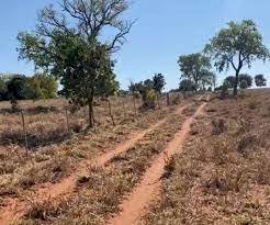 MS: peão é preso acusado de ameaçar, agredir e estuprar esposa em fazenda