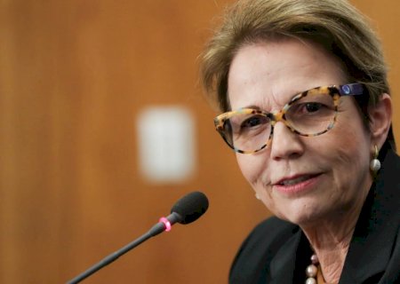 Tereza Cristina é eleita Senadora por MS com mais de 60% dos votos