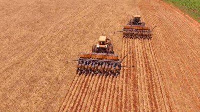 Plantio da soja entra na reta final com 96% das lavouras em boas condições