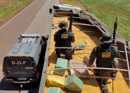 DOF apreende mais de 4 toneladas de maconha avaliada em quase R$ 9 milhões