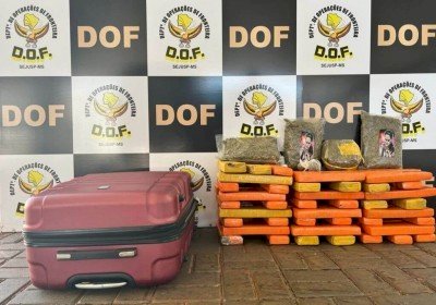 Adolescentes de 14 e 16 anos são apreendidas pelo DOF com maconha e skunk