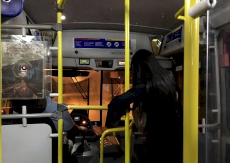Lei permite desembarque fora do ponto para público específico