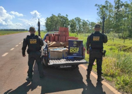 Em carga de tijolos, policiais descobrem meia tonelada de maconha