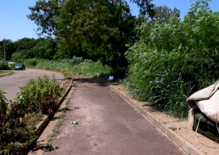 Tomada por buracos, lixo, bueiros abertos e mato, Via Parque é um combo de problemas
