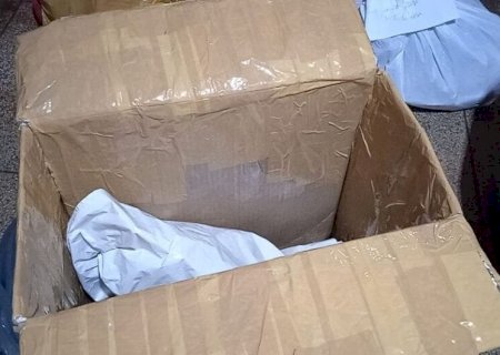 Justiça converte em preventiva prisão de quadrilha que cometeu 'arrastão' em comércios