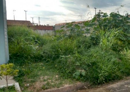 Prefeitura prorroga prazo para limpeza de terrenos baldios