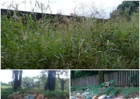 População Aponta Descredito de Vereadores e Cobram Melhor Desempenho na Cidade