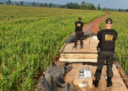 Apreensões de cocaína e pasta base totalizaram mais 1 mil por cento em 2022