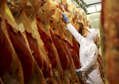 Exportação de carne bovina cresce 26% em 2022, diz Abrafrigo