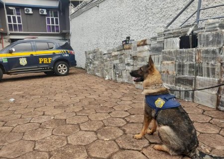 PRF faz em MS maior apreensão de cocaína de sua história