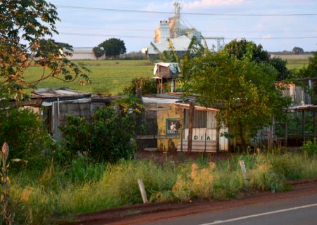 Sem-terra voltam a invadir fazendas e acampamentos se multiplicam em MS