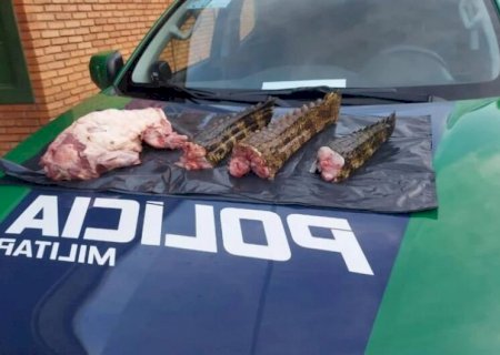 Caçadores são presos com carne de jacarés, quati, pistola e munições