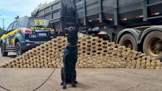 Motorista é preso após cães farejarem 210 quilos de cocaína em carreta