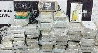 Cocaína apreendida pelo SIG tinha adesivos do carro Audi, Papagaio e Tigre asiático