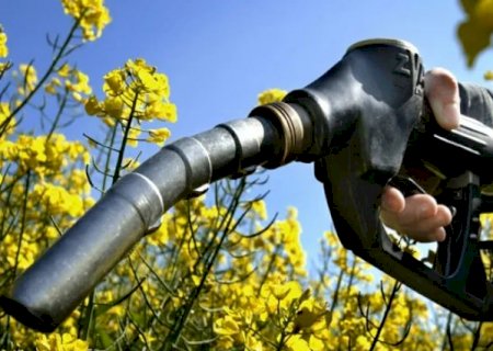 Governo anuncia aumento de biodiesel no diesel