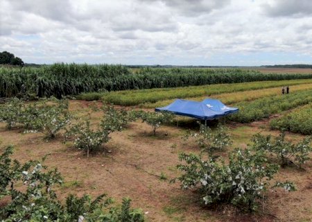 Expoagro terá debates sobre sistema orgânico, crédito rural e políticas públicas para agricultura familiar