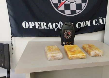 Mulher é presa com pasta base de cocaína no Bonanza em ônibus