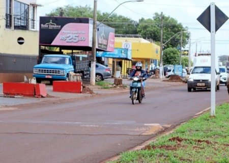 Retirada de árvores dá início ao processo de duplicação da José Roberto Teixeira