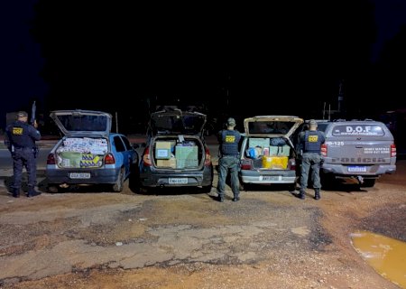 Três veículos são apreendidos pelo DOF carregados com produtos ilegais