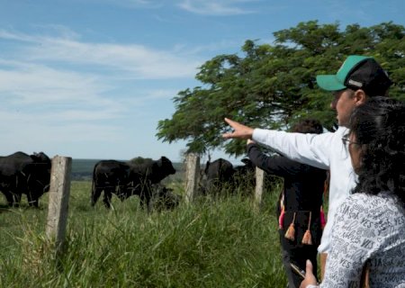 Missão técnica do México vistoria sistemas de produção em MS
