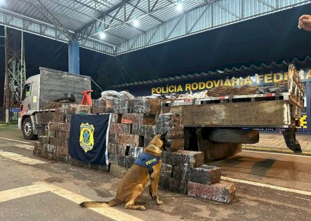 PRF apreende no MT, 1,2 tonelada de maconha que saiu de Dourados