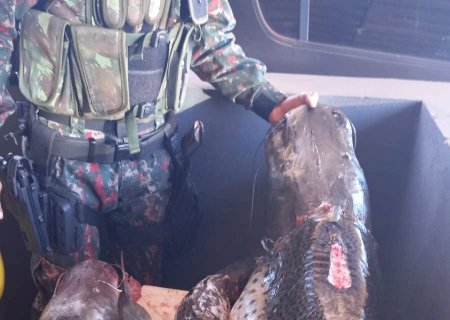 PMA de Dourados prende e autua homem por pesca predatória