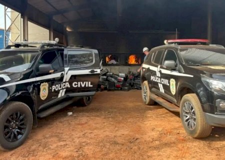 Polícia Civil incinera mais de duas toneladas de maconha apreendidas