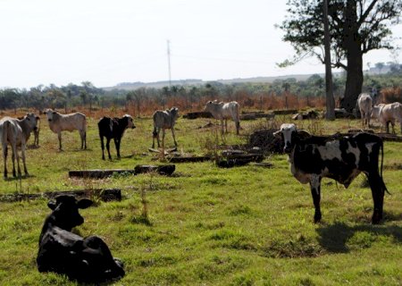 Ex-primeira dama herda R$ 4 milhões do espólio de Artuzi