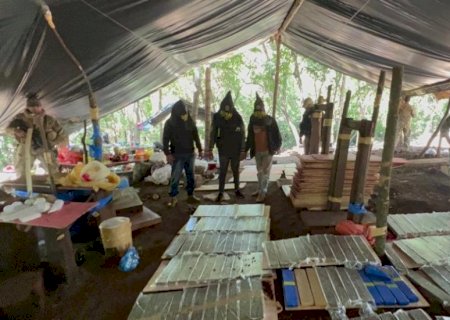 Senad destrói plantações de maconha na fronteira