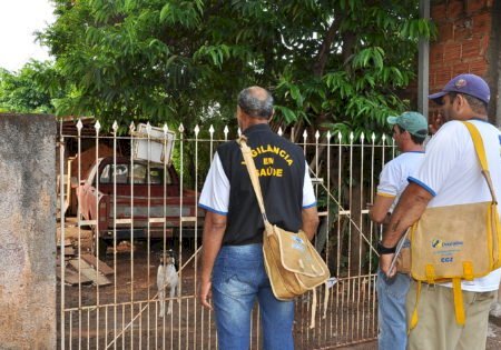 Casos de Dengue em Dourados já Somam 1,3 mil