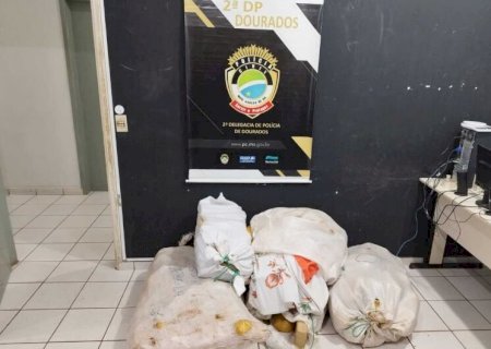 Polícia recupera veículo furtado e apreende 141 quilos de maconha