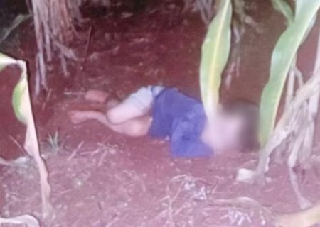 Criança de 2 anos ‘some’ e é encontrada dormindo em milharal