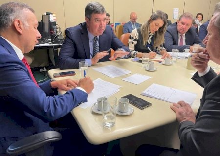 Riedel defende reforma tributária, mas quer mecanismos que protejam MS de perdas de receita