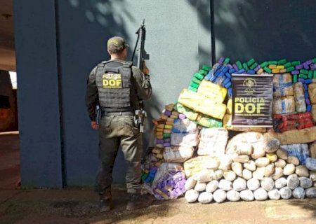 DOF apreende quase 700 quilos de drogas em plantação de milho